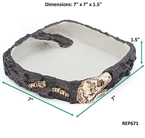 PENN-PLAX Reptology Reptile Fossil Rock Food/Water Dish – Perfect for Bearded Dragons, Geckos, Chameleons, Snakes, Hermit Crabs, and Many More – Large - size: Large
