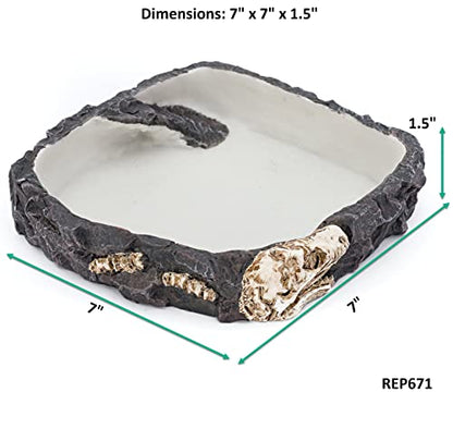PENN-PLAX Reptology Reptile Fossil Rock Food/Water Dish – Perfect for Bearded Dragons, Geckos, Chameleons, Snakes, Hermit Crabs, and Many More – Large - size: Large
