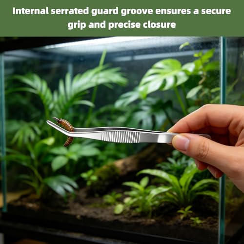 Black Gecko Feeding Ledge, Suction Station with Cups and Tweezer | Detachable suction feeder, 100 disposable cups and 1 tweezer for gecko, lizard, reptiles and amphibians