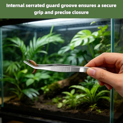 Black Gecko Feeding Ledge, Suction Station with Cups and Tweezer | Detachable suction feeder, 100 disposable cups and 1 tweezer for gecko, lizard, reptiles and amphibians