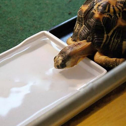 OMEM Reptile Bowl Large Food and Water Dish Enough Space Also Fit for Bath Simulated Wood Grain Surface (M, White) - color: White, size: M