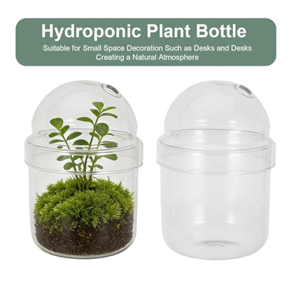 Small Plant Terrarium: Desktop Glass Terrarium Planter for Succulent, Moss, Miniature Gardening Landscape - Tiny Betta Fish Tank, Office Home Decoration