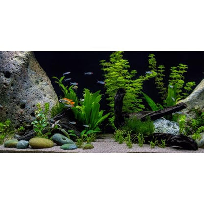 AWERT Vinyl Underwater Aquatic Plant Fish Tank Background Stone River Bed & Lake Aquarium Background 72x24 inches - size: 72x24in/180x60cm