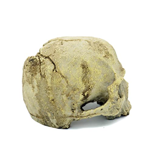 JIHAQUA Aquarium Resin Skull Ornament Snake Hide Decor, Habitat | Reptile Tank Accessories, Basking
