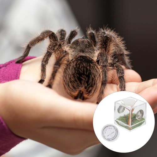 ibasenice Jumping Spider Cage 1.5In Clear Acrylic Escape-Proof Feeding Box with Built-in Lamp for Night Viewing – Mini Terrarium for Jumping Spiders & Small Arachnids - color: Multi