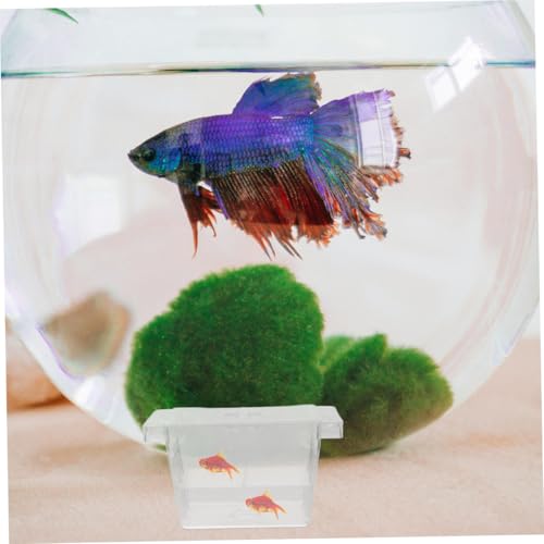 ORFOFE 4pcs Self-Floating Fish Fry Incubator Aquarium Breeding Box Betta Fish Separator Breeding Separator Reptile Box