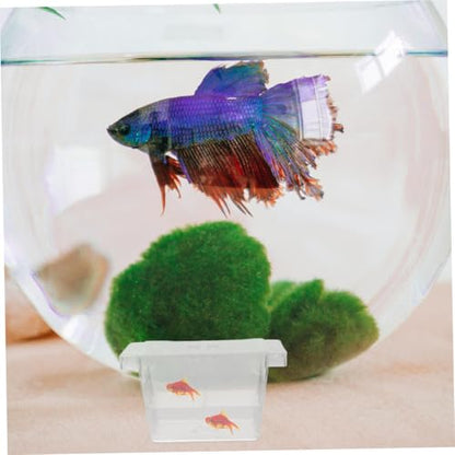 ORFOFE 4pcs Self-Floating Fish Fry Incubator Aquarium Breeding Box Betta Fish Separator Breeding Separator Reptile Box