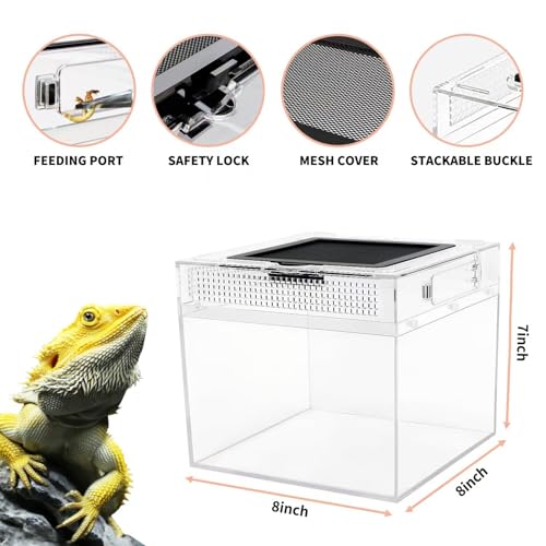 Reptile Growth Mini Reptile PC Terrarium,8x8x7 inch Amphibian Tank Starter Kit Habitat Cage，for Insect，Fish，Tarantula，Turtles，Jumping Spiders and Small Reptiles - size: 8" x 8"x 7"