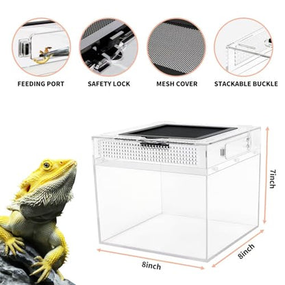 Reptile Growth Mini Reptile PC Terrarium,8x8x7 inch Amphibian Tank Starter Kit Habitat Cage，for Insect，Fish，Tarantula，Turtles，Jumping Spiders and Small Reptiles - size: 8" x 8"x 7"