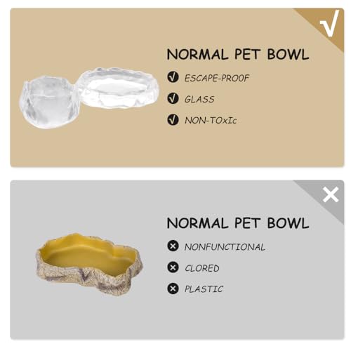 2 Pack Reptile Food Dish and Drinking Bowl Small Food Dish Terrarium Feeder for Small Reptile Lizard Gecko Spider Cricket Baby Bearded Dragon Hermit Crab Snail Turtle