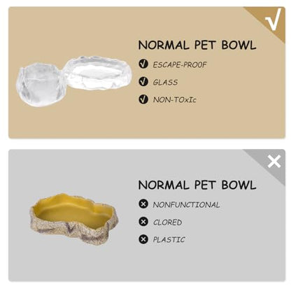 2 Pack Reptile Food Dish and Drinking Bowl Small Food Dish Terrarium Feeder for Small Reptile Lizard Gecko Spider Cricket Baby Bearded Dragon Hermit Crab Snail Turtle