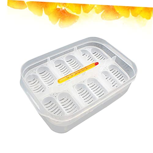 balacoo 1pc Hatching Box for Snakes and Lizards Compartment Incubator with Thermometer Easy to Clean and Manage for Reptile Breeding and Egg Observation