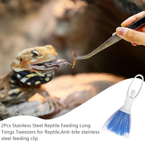Reptile Digging Box Plastic Leopard Gecko Burrowing Habitat Hide Box with Wooden Ladder Compatible with Terrariums Tailored for Juvenile Bearded Dragons and Snake in Compact Setups (Blue) - color: Blue