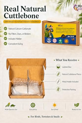 Birds LOVE 7.5-8" Cuttlebone for Birds – 100% Natural Sun-Dried Calcium Carbonate Mineral Supplement – for Parakeets, Budgies, Cockatiels, Finches & Canaries – 2 Pack with Holder – Made in Vietnam - size: 2 Count (Pack of 1)
