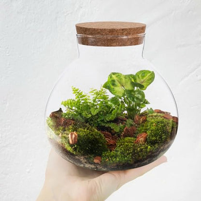 Glass Terrarium Bottle with Cork Lid: Round Borosilicate Jar for DIY Microlandscape - Clear Plant Display Container Moss Holder Tabletop Storage Canister