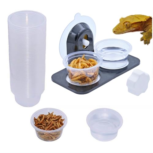 Lizard Gecko Feeding Ledge Holder, with 100 pcs 1oz Food Cups Dish | Gecko Feeding Ledge [Non-Suction Cup], with 1oz 100Cups, Reptile Food Bowls Water Dish for Lizard Ledge Accessories Supplies - color: 100 Cups+Ledge