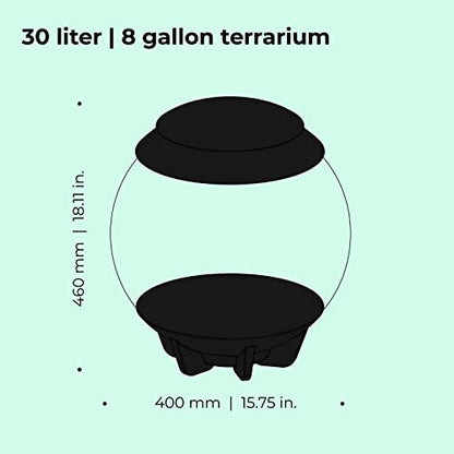 biOrb AIR 30, Automated Acrylic Terrarium for Desert or Tropical Plants, Black - color: Black