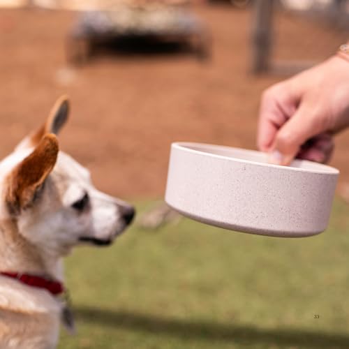 Loving Pets - Dolce Bamboo - Eco-Friendly Pet Bowls & Dishes for Dog, Cats, Puppy Food and Water Dish -Sustainable and Dishwasher Safe, Made with Real Bamboo (Small, Oat-Beige) - color: Oat Beige, size: Small Dish