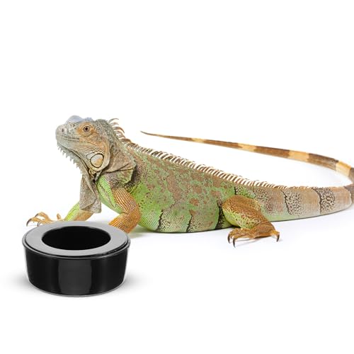 Escape-Proof Reptile Feeding Bowl Plastic Water Dish Large Round Terrarium Feeder for Snakes Lizards Turtles and Geckos