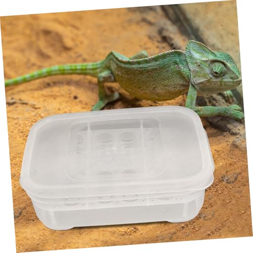 POPETPOP Tray Compartments Hatching Box for Snakes Geckos and Lizards Breeding for Reptiles
