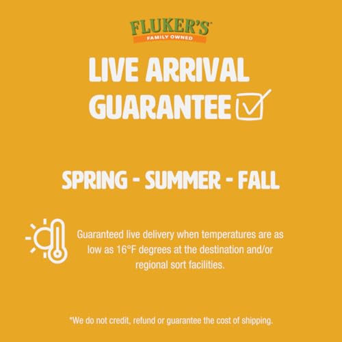 Fluker's Live Mealworms, 2000 Count Insects for Reptiles, Chickens, and Birds, Medium Size (Approx. 3/4") - size: 2000 Count (Pack of 1), style: Medium, 3/4"