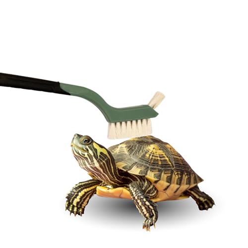 Turtle Cleaning Brush - Gently Remove Dirt from Turtles and Tortoises - Blue by Snout and Shell - color: Blue