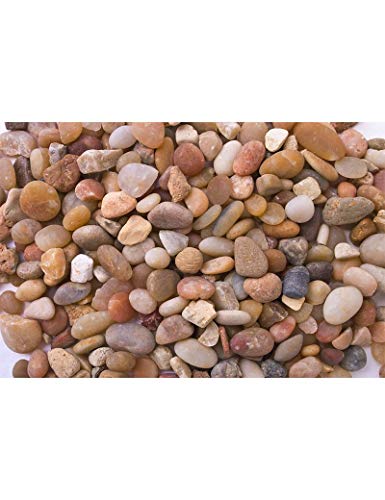 T-Rex Reptile Terrarium Décor -Terra Accents Pebble River Rocks