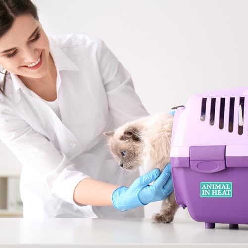 1000pcs Animal in Heat Stickers Medication Instruction Labels | Veterinary File Folder Reminder Sticker for Veterinary Clinic Animal Hospital Pharmacies Shelter Breeders Pet Care