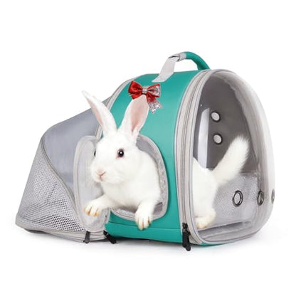 WEVONIGU Expandable Small Animal Backpack Carrier with Clear Bubble Window Large Space Travel Cage for Hedgehog Rat Parrot,Bearded Dragon,Sugar Glider,Airline Approved (Green, BE Backpack) - color: Green, size: BE Backpack