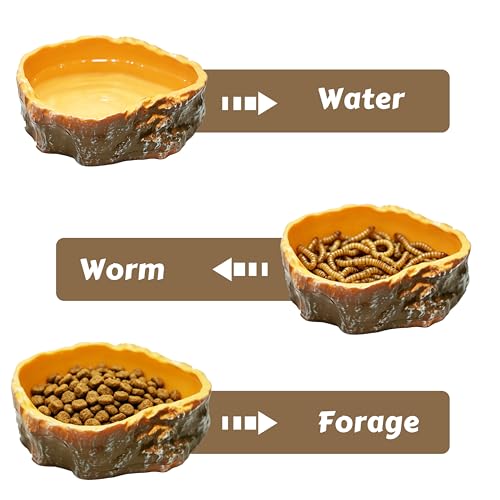Dubia Roach Water Dish with 3 Luffa Inserts, Reptile Water Dish, Feeding Dish for Reptiles, Dubia Roaches Live, Isopods, Springtails, Crickets & Other Feeder Insects