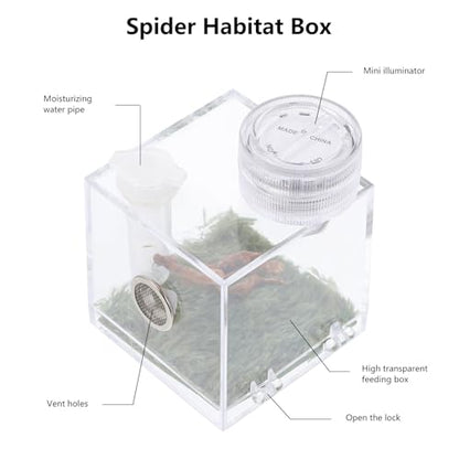ibasenice Jumping Spider Cage with Lamp Transparent Small Spider Habitat Box 2.16X1.96X1.96 Inch Compact Jumping Enclosure for Feeding and Observation - color: Transparent
