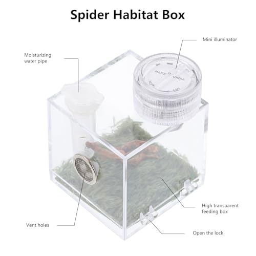 ibasenice Jumping Spider Cage with Lamp Transparent Small Spider Habitat Box 2.16X1.96X1.96 Inch Compact Jumping Enclosure for Feeding and Observation - color: Transparent