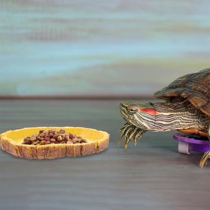 Sosoport 2pcs Resin Reptile Food Feeding Container and Tortoise Water Dish for Terrarium, Multifunctional Pet Food Storage Basin Suitable for Lizards, Tortoises, and Small Crawling Pets