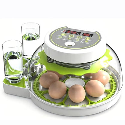 JUJOJB 12-Egg Incubator for Hatching Eggs, Auto Turner, Temp Control | Humidity and temperature control, egg candler, 360-degree window. For chicken, duck, quail, turkey eggs. Adjustable dividers. - color: Green
