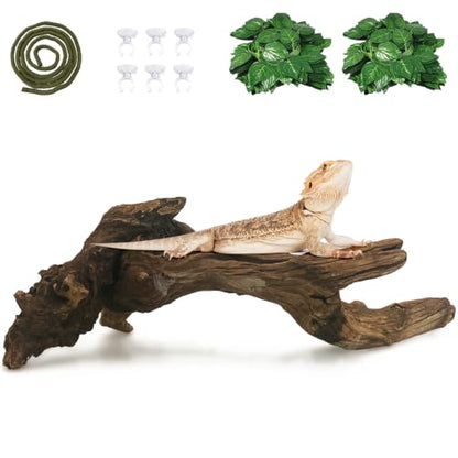 Hamiledyi Reptile Wood Branches 16" Length Snake Climbing Branch Lizard Habitat Natural Wood Decoration Bearded Dragon Climbing Accessories for Leapord Gecko