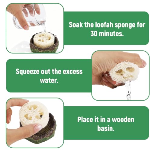 NQEUEPN Cockroach Water Basin & 3 Loofah, Reptile Container Supplies | Cockroach Water Basin with Luffa Set Durable Reptile Live Habitat Supplies for Crickets Springtails Isopods