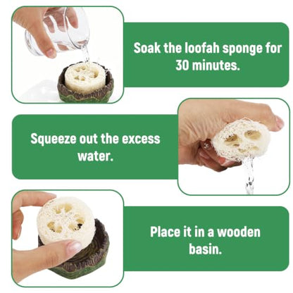 NQEUEPN Cockroach Water Basin & 3 Loofah, Reptile Container Supplies | Cockroach Water Basin with Luffa Set Durable Reptile Live Habitat Supplies for Crickets Springtails Isopods