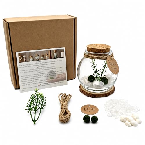 Moss Ball Terrarium Kit – Includes Glass Jar, Cork Lid, Wooden Base, Aquatic Plants, Lucky Clear Quartz & Shells