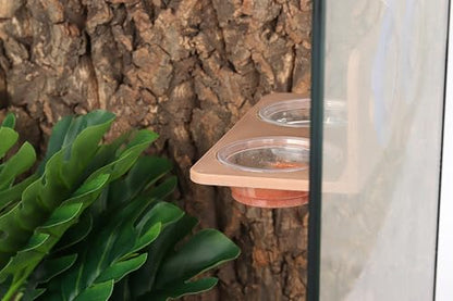 Crested Gecko Feeding Ledge with 10PCS Gecko Food Dish - Wooden - color: Wooden