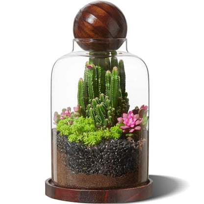 Tall Glass Terrarium Jar: House for Succulent Plant/Moss/Fish | Mini Table with Wood Base/Ball lid Office Home Decoration - size: H-9.8IN