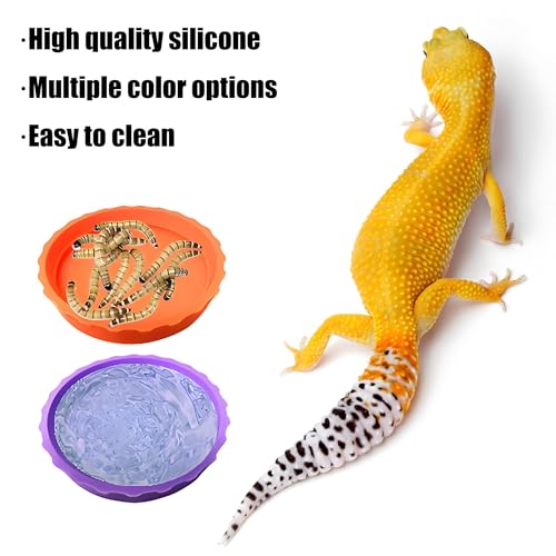 6pcs Reptile Bowls Set:Bearded Dragon Food Bowl,Gecko & Lizard Dish, Turtle Water Bowl&Cricket Keeper for Reptiles