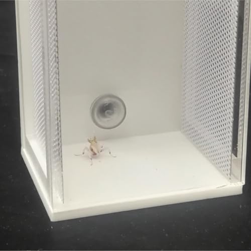 Reptile Breeding Box Acrylic Reptile Breeding Box Insect Incubator for Orchid Mantis Faunarium