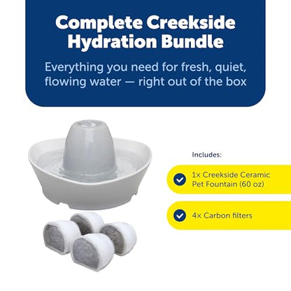 PetSafe Creekside Ceramic Pet Fountain, 60 Oz, 4-Pack Carbon Filters | 60 Oz Capacity, Whisper-Quiet Flow, Includes Carbon Filters, Top-Rack Dishwasher Safe - style: Fountain + 4 Carbon Filters