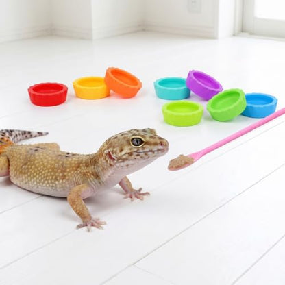 14 PCS Crested Gecko Food and Water Bowl, Gecko Feeding Bowls | Reusable Silicone Reptile Feeding Dish, Crested Gecko Tank Accessories for Tortoise Lizard Bearded Dragon Hermit Crab