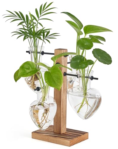 Mkono Propagation Stations,4 Heart Shaped Glass Plant Vases with Wood Stand | Hydroponic Terrarium, Desktop Propagation Jars, Cute Air Plant Flower Holder,Home Office Decor, Plant Lover Gardening Gift - size: 4 Heart Bulb Vase