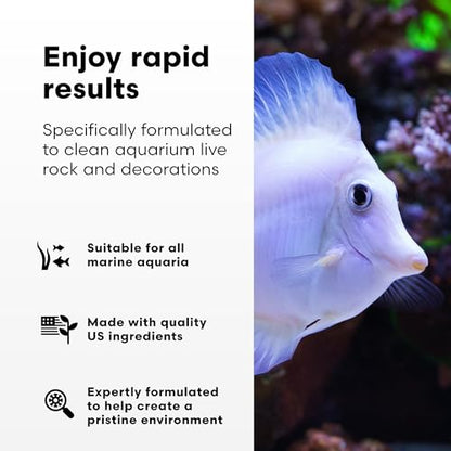 Brightwell Aquatics MicroBacter Clean Marine Aquarium Cleaner Aid, 250 ml - size: 250-ml