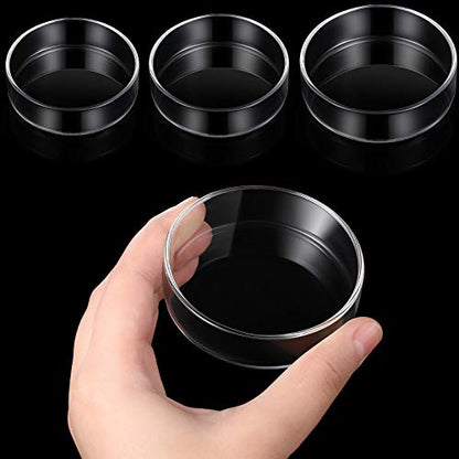 Patelai 3 Pcs Shrimp Feeding Dish, Clear Glass Aquarium Feeder Bowl for Shrimp Tank, Fish Tank Food Tray with 60mm 65mm 80mm Sizes, Freshwater Aquarium Accessories