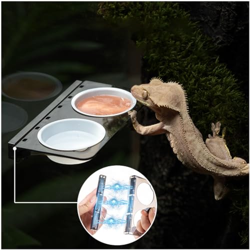 La La Pet® Magnetic Reptile Food Feeder Animal Feeder Ledge with 2 Plastic Bowls Reptile Water Bowl for Lizard Spider Crested Gecko