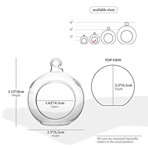 WGV Hanging Terrarium Globe, Width 2.5", Height 3", DIY Air Succulent Planter, Clear Glass Vase Orb with Flat Bottom, Candle Holder for Windowsill Outdoor Garden Decor, 24 Pieces Bulk - size: 2.5" Flat Bottom