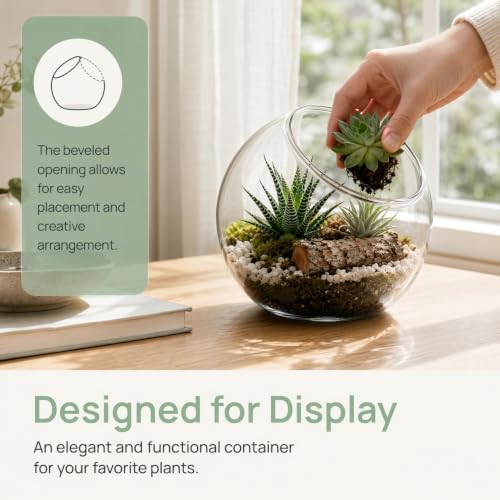 IMIKEYA Plant Terrarium Display: 3Pcs Slanted Glass Terrarium Containers Air Plant Glass Sphere Succulent Display Bowl Vase for Home Tabletop Microlandschaft